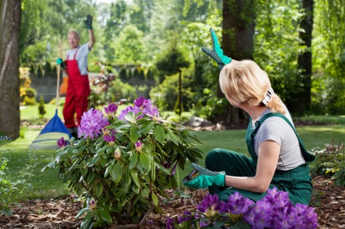 Garden waste sorting and recycling at a North Woolwich gardening site