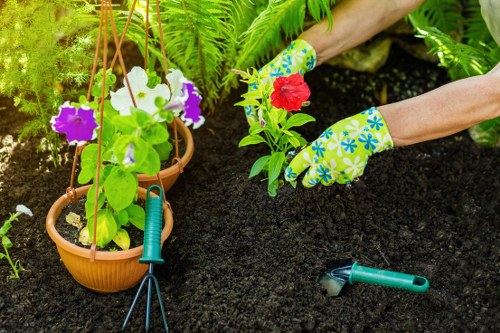 Inclusive accessibility commitment for North Woolwich gardeners