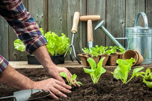 Charity reuse partnership for surplus garden items and tools
