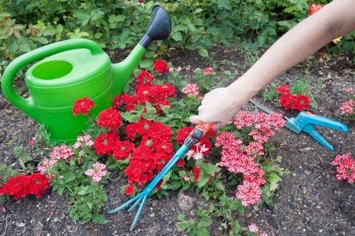 Seasonal grass cutting in a North Woolwich residential garden