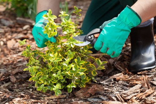 Garden maintenance in North Woolwich with tidy lawn and trimmed borders