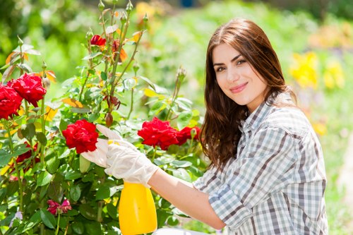 Keyboard navigation support for North Woolwich gardening pages