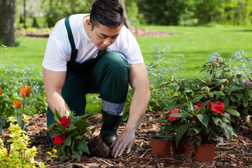 Low-maintenance backyard landscaping with patio and greenery in North Woolwich