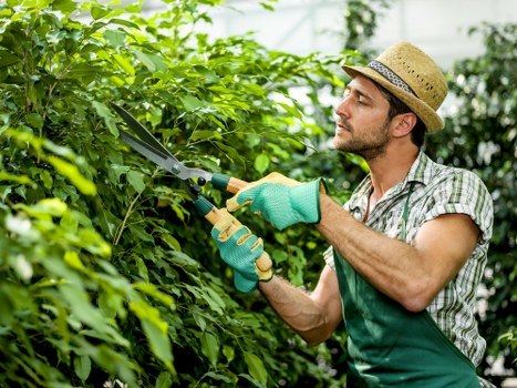 Garden waste removal and tidy-up service in North Woolwich