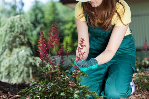 Professional garden maintenance in a North Woolwich outdoor space