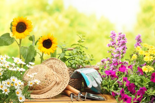 Professional garden clearance for a residential property in North Woolwich