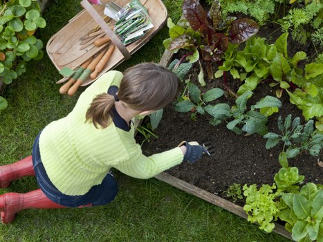 Supplier audit checks supporting ethical gardening services