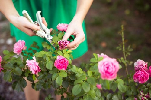 Weather-aware planning for outdoor gardening tasks