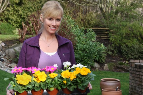 Attractive North Woolwich garden with seasonal planting