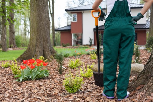 Weed control and pruning for a well-kept North Woolwich garden