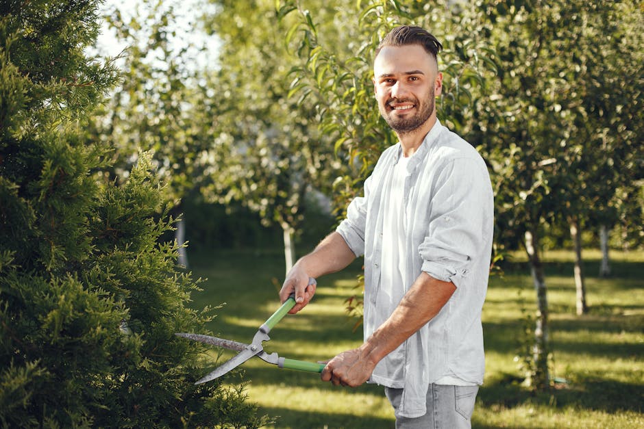 A man with short dark hair, a well-groomed beard, and light skin is standing outdoors in a sunny garden, engaging in hedge trimming. He is smiling at the camera and wearing a casual white long-sleeved